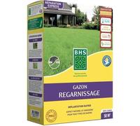 Gazon Regarnissage Terrain Sec - Bhs - 1kg 40 M² Résistant Et Durable, Avec Excellente Pérennité Et Tolérance Aux Piétinements.
