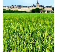 Gazon Synthétique 35mm : 2m de large x 11m de long soit 22M² RÉSISTANT & ULTRA DENSE ! SYNTHAIETIK, LE GAZON IDÉAL !