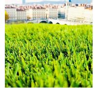 Gazon synthétique - SYNTHAIETIK - Very Chic 35 mm - Rouleau 4x5 m (20 m²) - Hauteur 35 mm - Jardin/Terrasse/Balcon