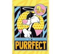 GB eye GBYDCO143 Looney Tunes Tweety & Slyvester Maxi Poster 61 x 91,5 cm