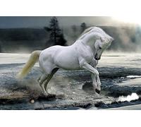 GB eye Ltd Maxi poster multicolore 61 x 91,5 cm
