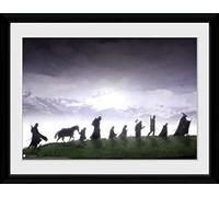GB Eye affiche dans le cadre Le Seigneur des Anneaux Fellowship 30 x 40 cm G