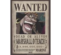 GB eye - Poster ONE PIECE Wanted (WANTED Marshall D Teach)