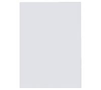 GBC | Lot de 100 Plats de couverture PolyClearView A4 | Transparent mat givré 300 microns | Recyclable | Finition premium | Réf. IB386848