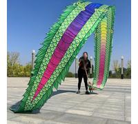 GDBTDL Dragon Poi Streamer - Ruban de soie 3D Accessoire de danse avec tête de dragon, lavable et portable pour enfants, adultes et personnes âgées, parfait pour le plaisir en plein air, les fêtes
