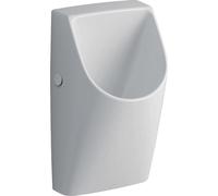 Geberit 300 urinoir 94 32x5x30cm avec arrivée arrière sans eau blanc s8602700000g