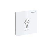 Geberit Geberit Panneau mural AquaClean Sela encastré, z AP, surface plastique/blanc Quantité:1