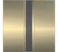 Geberit commande d'urinoir infrarouge Typ 50 116026QF1 secteur, rinçage électronique, brossé / laiton
