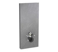 Geberit Geberit Module WC suspendu Monolith Plus H 114 cm, F ardoise, S. alu SW-chrome Quantité:1