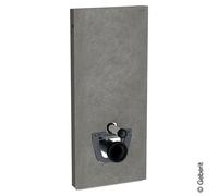 Geberit Monolith Module sanitaire pour cuvette suspendue, 131031005,