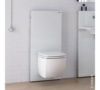 Geberit Monolith Module sanitaire pour cuvette suspendue, 131031SI5,