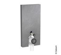 Geberit Monolith Plus Module sanitaire pour cuvette au sol, 131203007,
