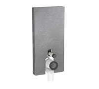 Geberit Monolith Plus - Module sanitaire pour WC au sol, 101 cm, alimentation d’eau par le bas, aspect ardoise 131.202.00.7