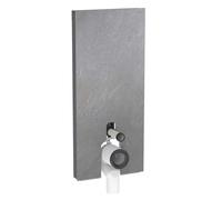 Geberit Monolith Plus - Module sanitaire pour WC au sol, 114 cm, alimentation d’eau par le bas, aspect ardoise 131.233.00.7