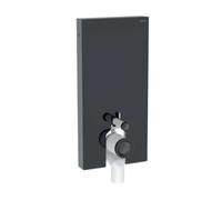 Geberit Monolith Plus - Module sanitaire pour WC sur pied, 101 cm, arrivée d'eau par le bas, noir / verre 131.202.SJ.7