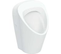 Geberit Renova S urinoir, entrée par l'arrière, sortie à l'arrière et en bas, 330x300x550mm, 503100001, Couleur: Blanc - CM