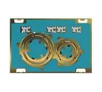 Geberit Sigma21 - Plaque de déclenchement 2 touches, laiton / sans plaque de finition 115.652.00.1