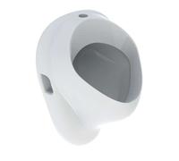 Geberit - Urinoir, arrivée d'eau par le haut, blanc 502.885.00.1
