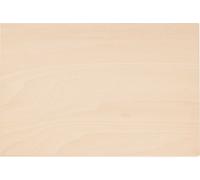 GEDORE 1110 WMHP 2 Plan de travail en bois pour WorkMo B2, 2954362