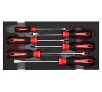 GEDORE red R22150013 Jeu de tournevis PH+SL 2/6 CT-Modul 6 pièces, 3301712