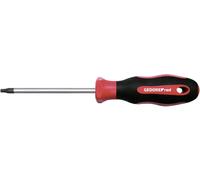 Gedore RED R38401319 Tournevis Torx Taille (tournevis) T 20 Longueur de la lame: 100 mm 1 pc(s)