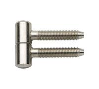 Gedotec Charniere Porte en Nickel - 1.1100 -Pour Porte en Bois et Métal de Meuble, Portail, Volet, Fenêtre - Type Anuba/SFS avec Tige à Visser de 29 mm - 6 Pièces