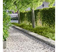 GeenYuu Bordure de pelouse en métal argenté 10 pcs 103 x 30 cm Flexible et résistante aux intempéries pour délimitation Jardin, Parterre, allée, terrasse, aménagement paysager