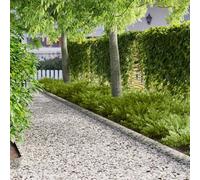 GeenYuu Bordure de pelouse en métal argenté 30 pcs 103 x 15 cm résistante aux intempéries, Flexible pour Jardin, Parterre, allée, terrasse, Potager et aménagement paysager