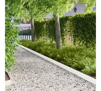 GeenYuu Bordure de pelouse en métal Blanc thermolaqué 103 x 15 cm 50 pièces Flexible pour Jardin Parterre allée terrasse Potager délimitation aménagement paysager