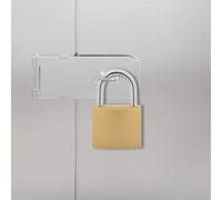 GeenYuu Lot de 100 cadenas en forme de U en fer avec 300 clés, couleur laiton, pour casier, placard, garage, résistant aux intempéries, antirouille, verrouillable, protection anti-effraction et