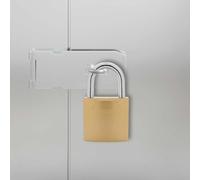 GeenYuu Lot de 6 cadenas en U en fer avec 18 clés - Cadenas en laiton - Résistant aux intempéries - Verrouillable - Pour armoire, casier, porte, garage, sécurité anti-effraction