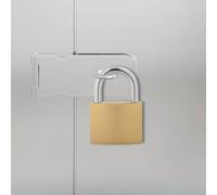 GeenYuu Lot de 6 serrures en U avec clés en laiton et fer robuste - Résistantes aux intempéries - Verrouillables - Pour armoire, casier, cave, garage, portail, protection anti-effraction