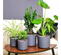 GeenYuu Ruban de cuivre 10 mm x 20 m adhésif double face - Ruban de cuivre flexible pour jardin, protection des plantes et anti-limaces - Polyvalent pour serre, arbre fruitier