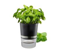 GEFU 18920 Pot à Herbes, Argent/Noir ø 14,3 cm, h 18,5 cm