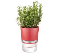 Gefu Botanico pot à herbes, rouge framboise, pot d'arrosage, plastique, acier inoxydable