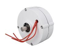 Générateur à aimant permanent, alternateur triphasé à double arbre pour éolienne verticale et horizontale 24V 100W (200W)