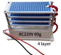 Générateur d'ozone 220V 60g/28g/15g/10g, purificateur d'air, Machine à ozoniser, nettoyeur domestique, stérilisateur, élimine le formaldéhyde AC220V 60g