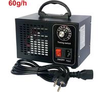 Générateur d'ozone, débit de 60 g/h, design portable, 220 V, 60 g, noir