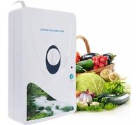 Générateur d'ozone Désodorisation de la viande Fruits Légumes Désinfection 600mg/h Appareil à ozone 220V
