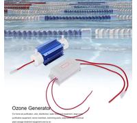 Générateur d'ozone Ozonateur Ioniseur Tube Purificateur d'air Tube à quartz Alimentation 220V 3G