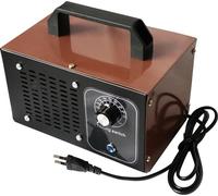Générateur d'ozone, purification de l'air hautement efficace, fonctionnement silencieux, 60 g 220 V-A