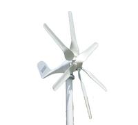 Générateur éolien, régulateur hybride MPPT, énergie alternative, 48V, turbine éolienne seule, 800W 6 lames