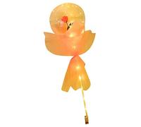 Generic Bouquet de Roses Ballon Lumineux avec Lumières LED pour Cadeaux Romantiques de Saint-Valentin - Plastique, Ensemble Complet pour Occasions Spéciales (PINK)