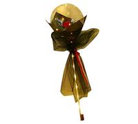 Generic Bouquet de Roses Ballon Lumineux avec Lumières LED pour Cadeaux Romantiques de Saint-Valentin - Plastique, Ensemble Complet pour Occasions Spéciales (rouge)