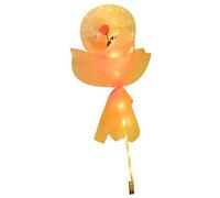 Generic Bouquet de Roses Ballon Lumineux avec Lumières LED pour Cadeaux Romantiques de Saint-Valentin - Plastique, Ensemble Complet pour Occasions Spéciales (PINK)