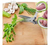 Generic Ciseaux à Herbes avec 5 Lames, Professionnelle Polyvalente pour la Cuisine Domestique, 19.5x8x2cm, en Acier Inoxydable, 1 Ensemble (Comme montré)