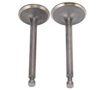 Generic Ensemble de Remplacement de Soupapes D'échappement D'admission de Générateur pour Moteur à 188F GX390 Accessoire Pratique pour la Pêche et la Foresterie 2 Pièces