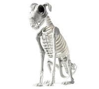 Generico Chien squelette - PP, chiot squelette réaliste | Statuette animale fantomatique avec os de chien d'Halloween pour maisons hantées, décorations pour porches et fêtes à thème horreur