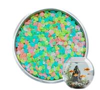 Genérico Galets lumineux - 500 pièces d'aménagement paysager | DIY pierres colorées qui brillent dans le noir pour extérieur, jardin, patio, étang, aquarium, cheminée, pots d'intérieur