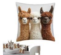 Generico Housses pour coussins, 45 x 45 cm, douces comme alpaga, housses de coussin décoratives, en alpage, pour décoration de maison, salon, chambre, canapé, bureau, voiture, ferme, appartement